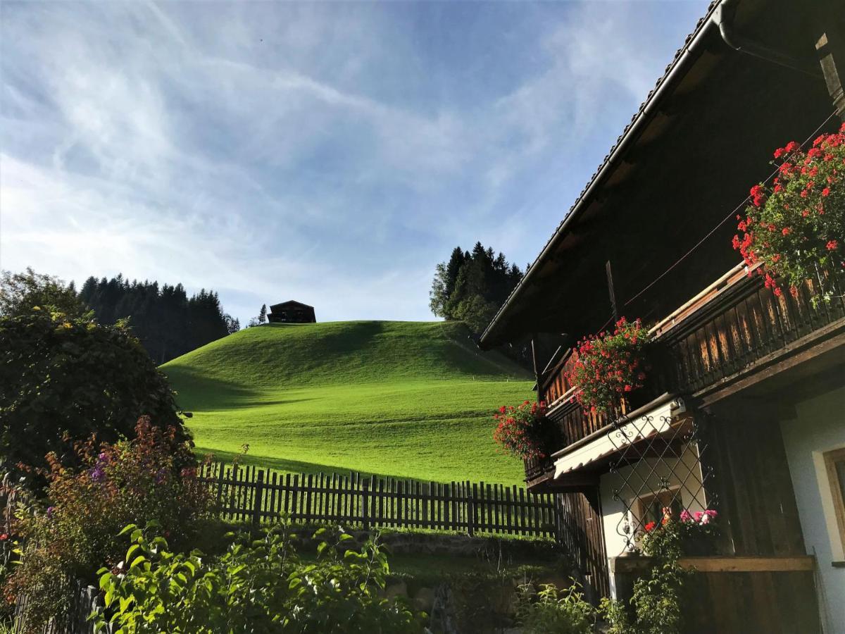 Apartment Chalet Edelweiss - Wil001 By Interhome Auffach Luaran gambar